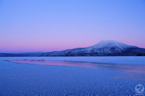夕暮れにつどう